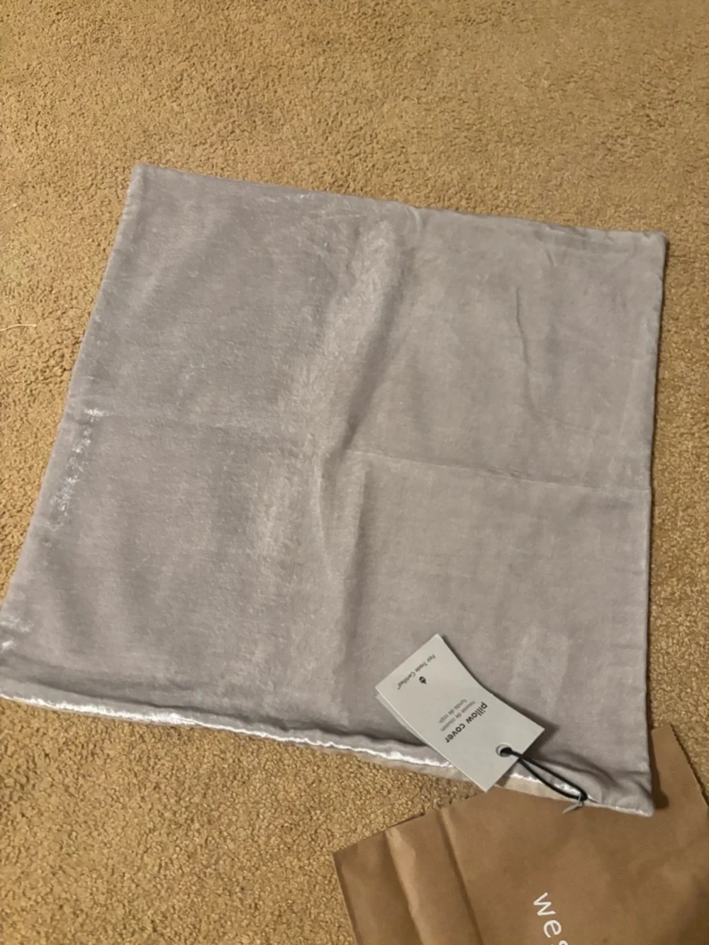 West Elm Shimmering Silver Velvet Square Pillow